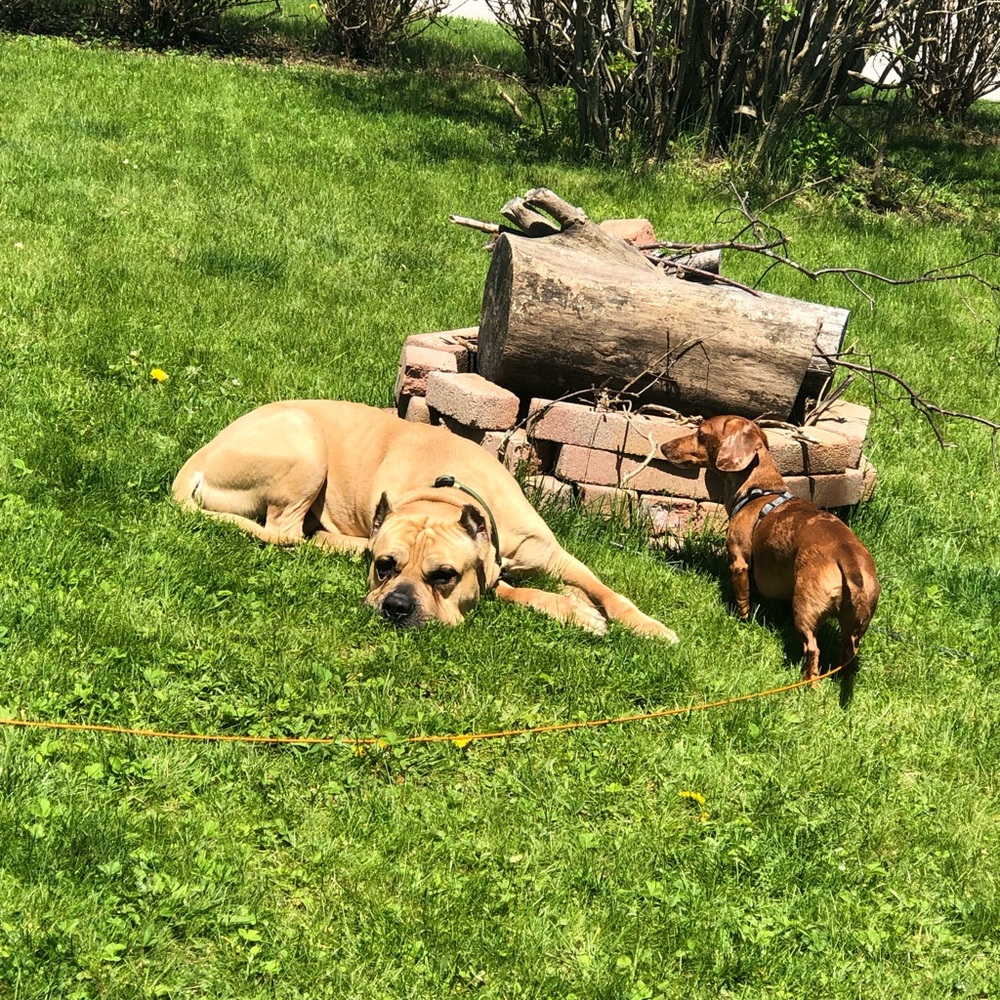 Meet your Posher, Nicole